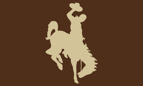 <NOBR>Wyoming Cowboys</NOBR>