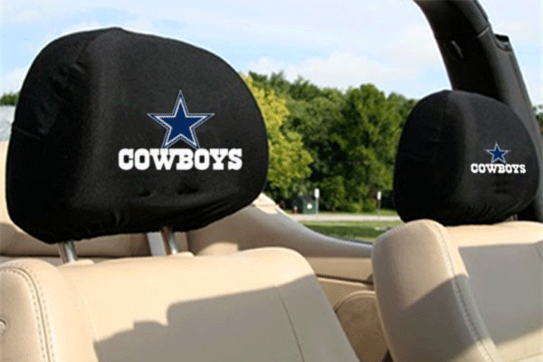 Texas Headrest Covers (DFW)