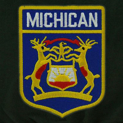 </nobr>Michigan Headrest Covers</nobr>